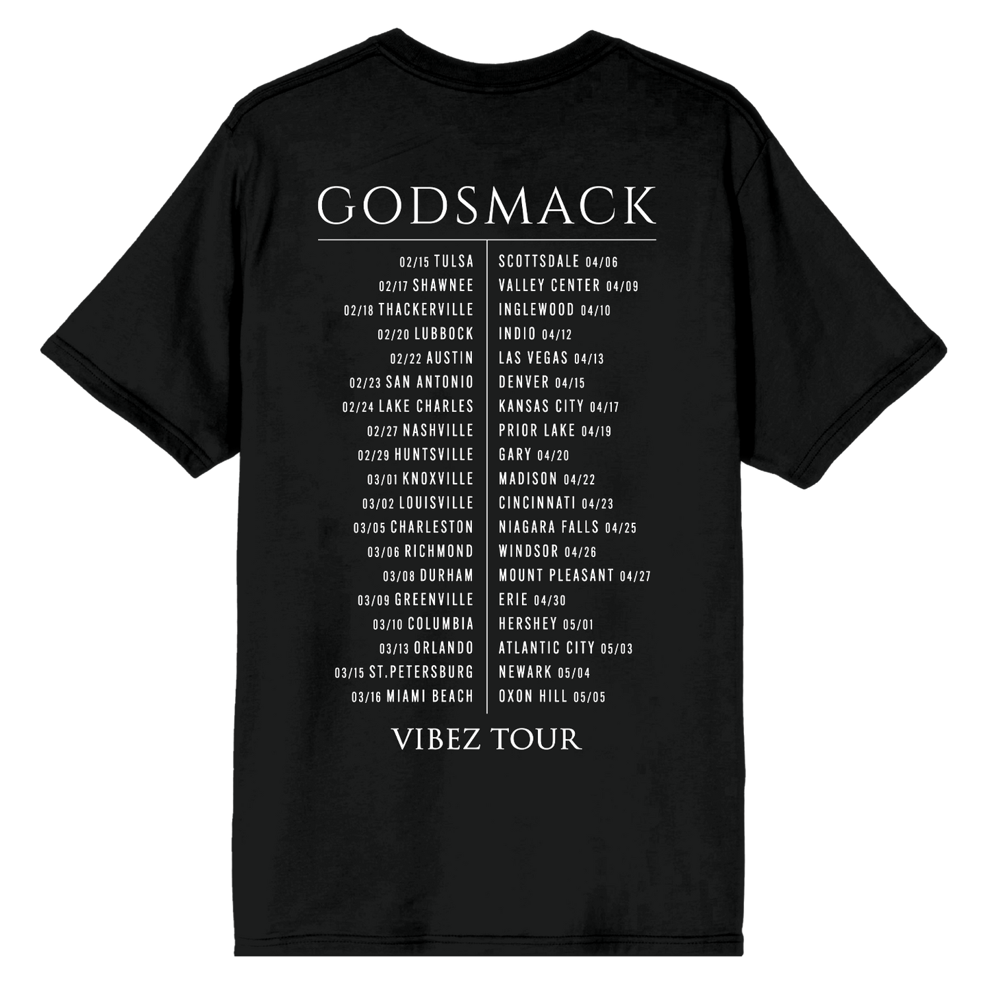 Vibez Tour Tee